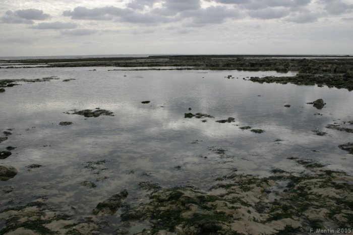 Ile de Ré