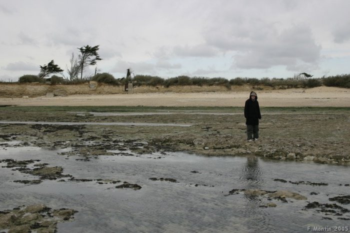 Ile de Ré