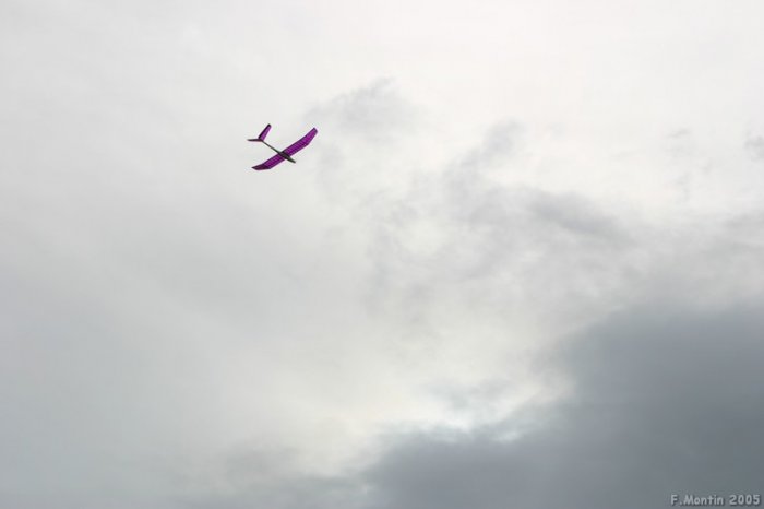 IMG_0850.jpg