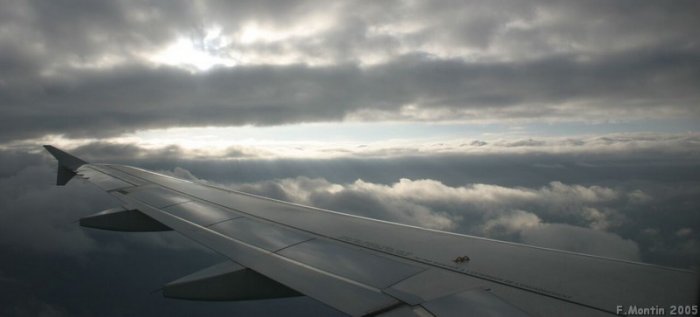 IMG_1566_2.jpg