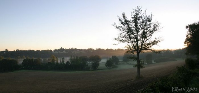 IMG_2329_PANO.jpg