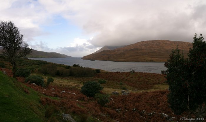 IMG_5599_PANO.jpg