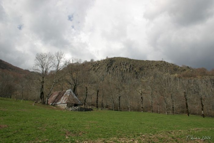 IMG_3413.jpg