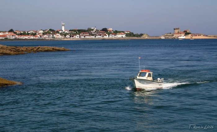 IMG_3573_2.jpg