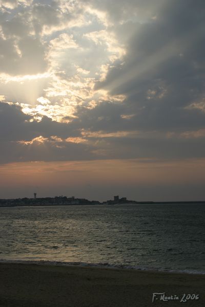 IMG_3650.jpg