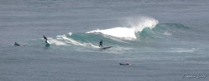 IMG_3674_2.jpg