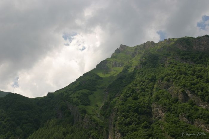 IMG_4028.jpg