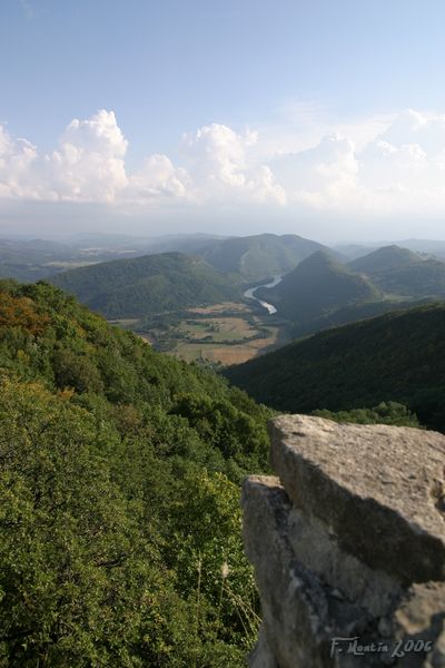 IMG_5002.jpg