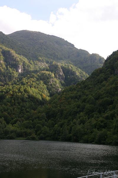 IMG_5350.jpg