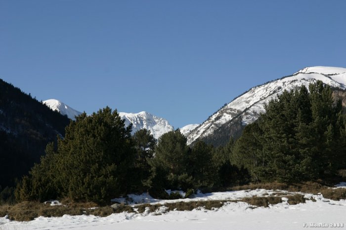IMG_9375.jpg