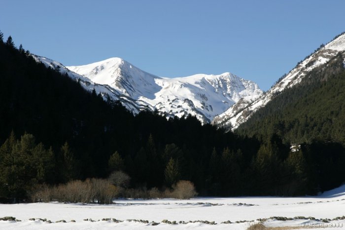IMG_9378.jpg