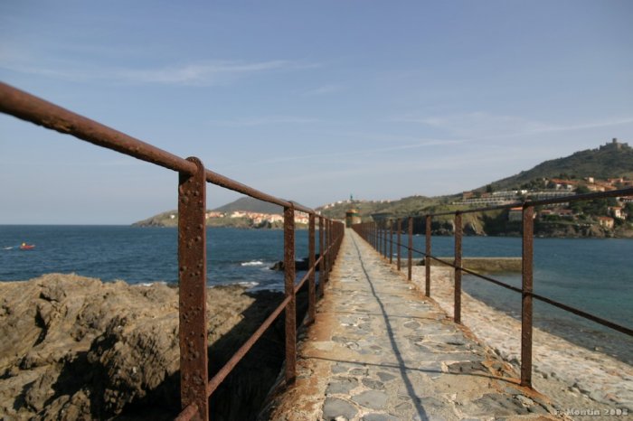 Collioure