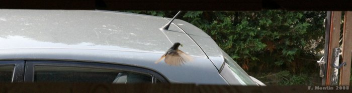IMG_10033_2.jpg